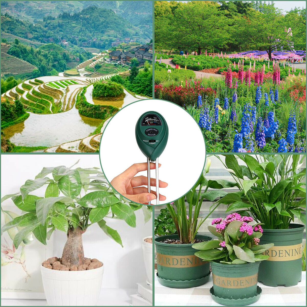 3-in-1 Garden Soil Tester Kit: pH, Moisture, Light Meter
