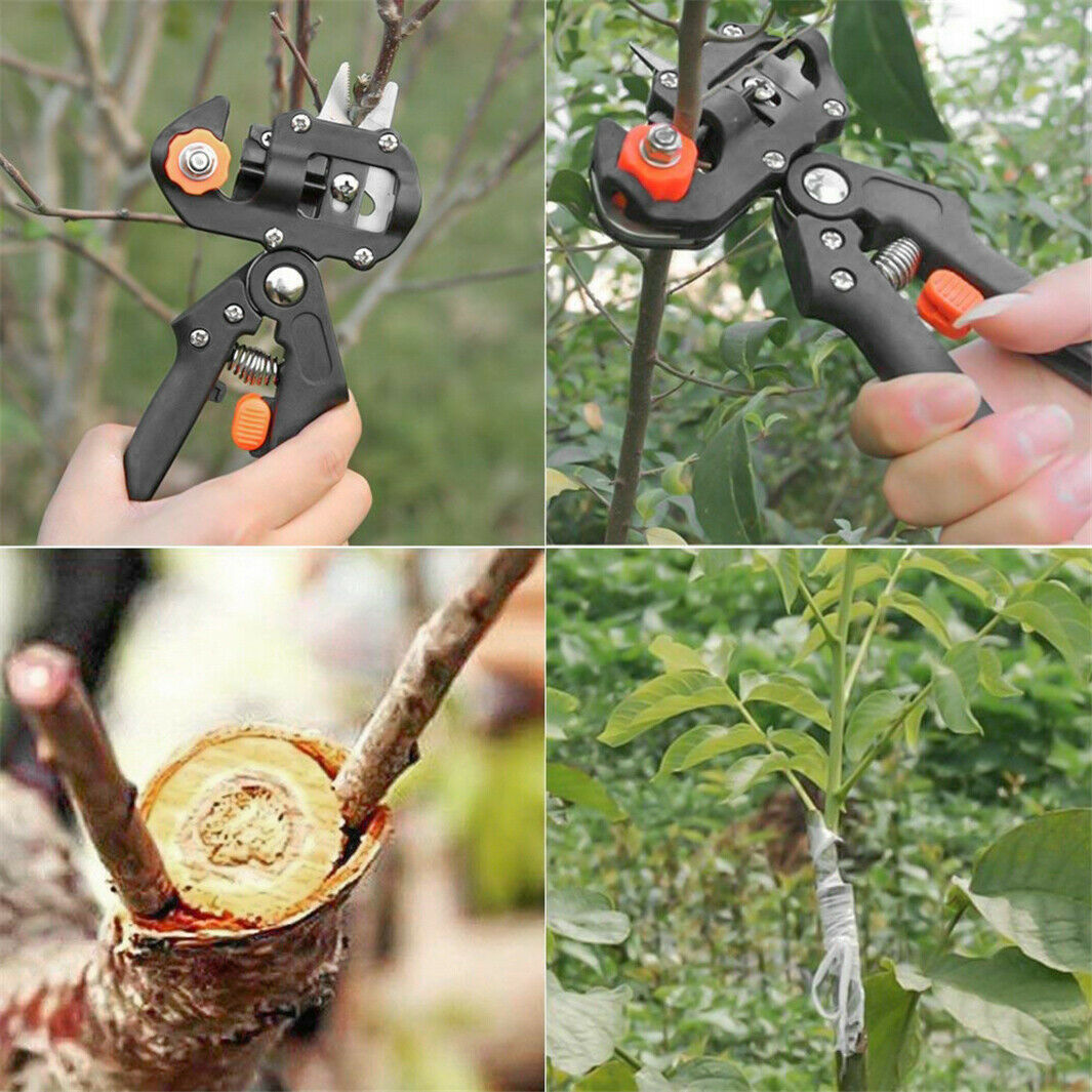 Garden Grafting Pruner Set: Essential Tool for Fruit Tree Care